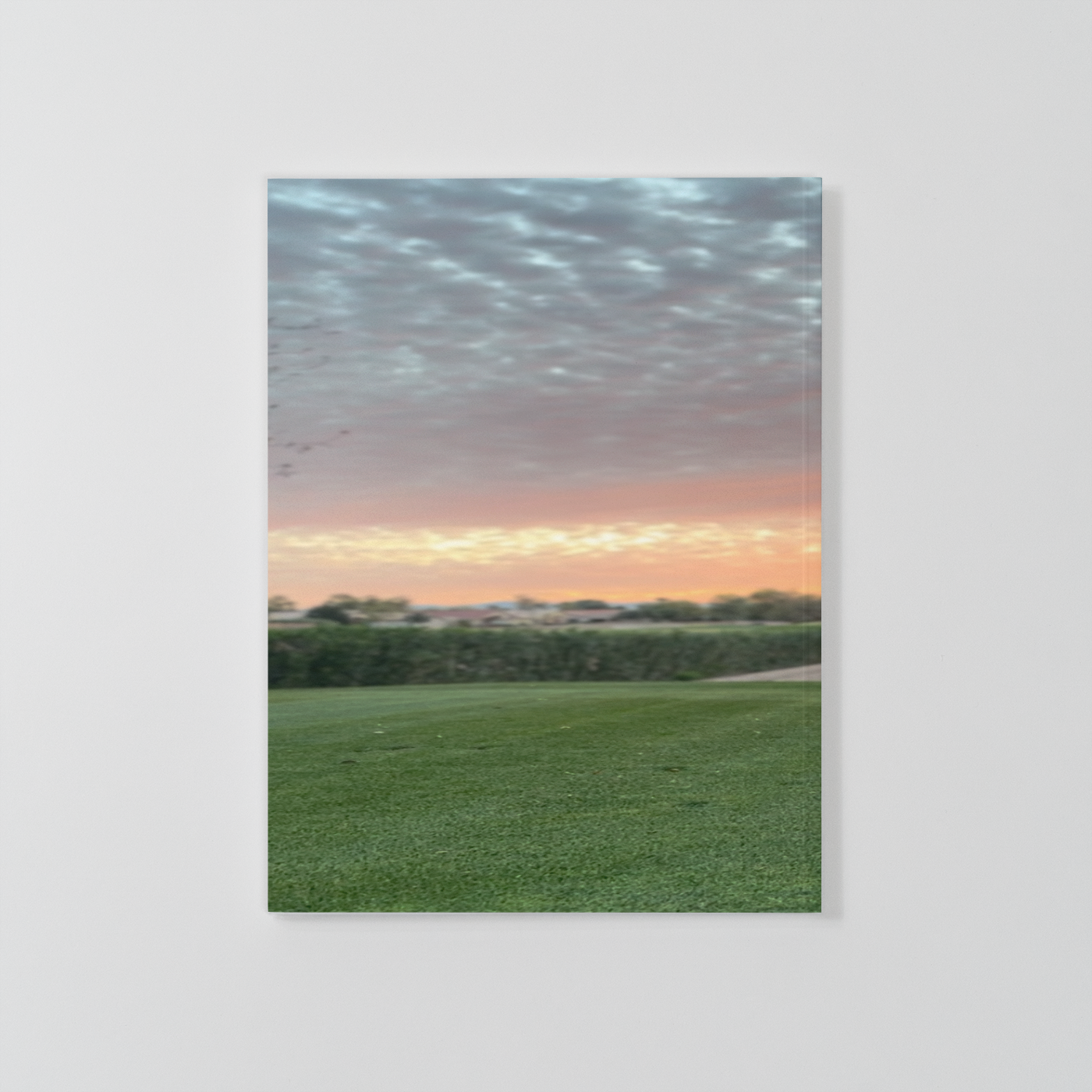 Golf Ball Wisdom Notebook
